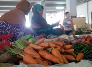 Harga Bahan Pokok Naik, Masyarakat Diet Sayuran