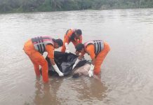 Jenazah Pelajar Tenggelam di Ujungbatu Telah Ditemukan