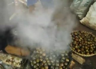 Bisnis Buah Kolang Kaling Raih Omset Jutaan Rupiah Perhari