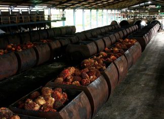 Disnakbun Rohul Sebut 6 PKS Belum Serahkan Peta Spasial