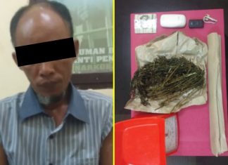 Sat Narkoba Polres Rohul Tangkap Pemilik Daun Ganja Kering di Sei Rokan