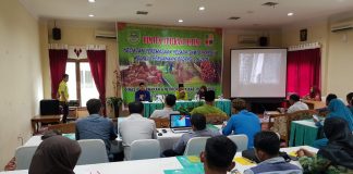 Disnakbun Rohul Beri Bimtek Aplikasi Online, Program Peremajaan Kelapa Sawit