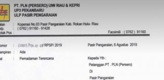 Pemadaman Listrik, PLN ULP Pasirpengaraian Lakukan Pemeliharaan Jaringan di Dua Kecamatan