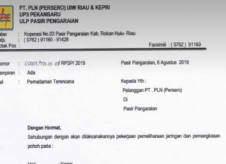Pemadaman Listrik, PLN ULP Pasirpengaraian Lakukan Pemeliharaan Jaringan di Dua Kecamatan