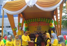 Ulang Tahun Ke 15, RSUD Rohul Tampilkan Prasarana Baru