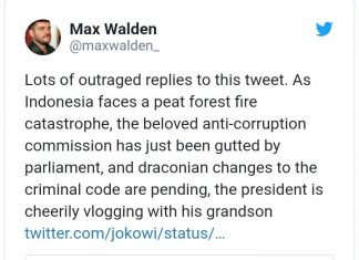 Jurnalis Asing: Hutan Terbakar, Jokowi Ceria Ngevlog Bareng Cucu