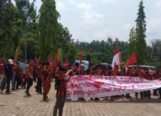 SAPMA PP Rohul Gelar Aksi di Gedung DPRD