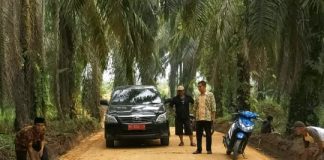 Akses Produksi Pertanian Lancar, Pemkab Rohul Bangun Ruas Jalan Perkebunan