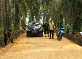 Akses Produksi Pertanian Lancar, Pemkab Rohul Bangun Ruas Jalan Perkebunan