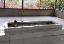 Temukan Tempat Sejarah, Camat Kepenuhan Bersama Tokoh Masyarakat Inventarisir Peninggalan Sejarah salah satu makam sejarah di Kepenuhan