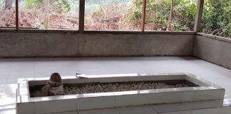 Temukan Tempat Sejarah, Camat Kepenuhan Bersama Tokoh Masyarakat Inventarisir Peninggalan Sejarah salah satu makam sejarah di Kepenuhan