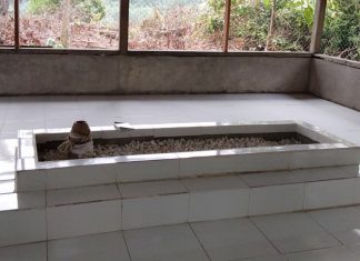 Temukan Tempat Sejarah, Camat Kepenuhan Bersama Tokoh Masyarakat Inventarisir Peninggalan Sejarah salah satu makam sejarah di Kepenuhan