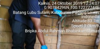 Tega. Artis Keyboard Dibunuh dan Mayat Dibuang ke Kandang Ayam