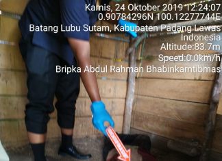 Tega. Artis Keyboard Dibunuh dan Mayat Dibuang ke Kandang Ayam