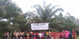 Peringati Hari Pangan Sedunia, BEM Fakultas Pertanian UPP Taja Lomba Masak