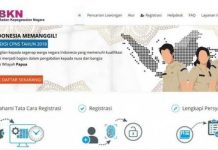 CPNS 2019 Dibuka, Catat Tanggal Pentingnya