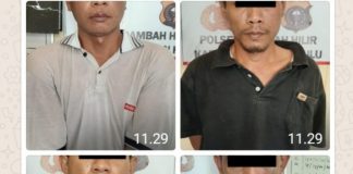 Polsek Rambah Hilir Gagalkan Pencurian Sapi, Empat Pria Bermobil Diamankan
