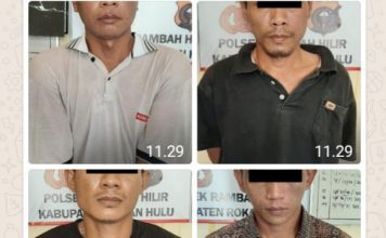 Polsek Rambah Hilir Gagalkan Pencurian Sapi, Empat Pria Bermobil Diamankan