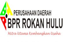 Timsel Dirut dan DP PD BPR Rohul Umumkan Pelamar Lulus Seleksi Administrasi