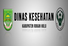 21 Puskesmas se Rohul Ikuti Berbagai Lomba Peringatan HKN ke 55
