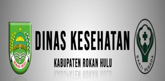 21 Puskesmas se Rohul Ikuti Berbagai Lomba Peringatan HKN ke 55