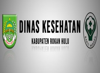 21 Puskesmas se Rohul Ikuti Berbagai Lomba Peringatan HKN ke 55