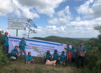 PLN UP3 Pekanbaru Bersama Warga Sungai Kuning Tandun Gelar Perawatan Pohon