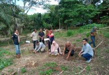Cinta Alam, UKM Mapala Polipera UPP Gelar Menanam Pohon dan Seminar Keanekaragaman Hayati
