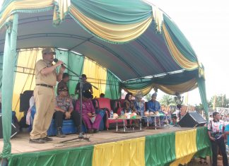 Dihadiri Bupati dan Ketua TP PKK, Peringatan Hari Jadi Desa Aliatan Ke-68 Meriah