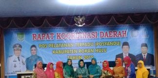 Ketua TP PKK Rohul, Peni Herawati Sampaikan Pentingnya Posyandu Bagi Masyarakat