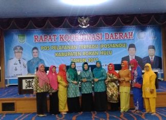 Ketua TP PKK Rohul, Peni Herawati Sampaikan Pentingnya Posyandu Bagi Masyarakat