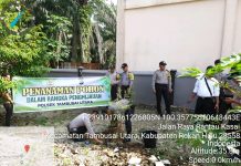 Peduli penghijauan, Kapolsek Tambusai Utara Bersama-Sama Tanam Pohon