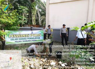 Peduli penghijauan, Kapolsek Tambusai Utara Bersama-Sama Tanam Pohon