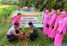 Peduli Penghijauan, Polri- TNI Tanam Ratusan Pohon