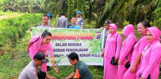 Peduli Penghijauan, Polri- TNI Tanam Ratusan Pohon