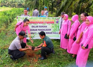 Peduli Penghijauan, Polri- TNI Tanam Ratusan Pohon