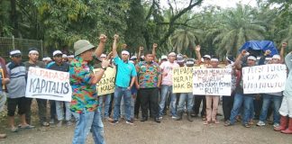 Puluhan Buruh Lakukan Aksi di PKS Kalsa Kabun