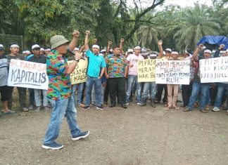 Puluhan Buruh Lakukan Aksi di PKS Kalsa Kabun