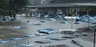 Puluhan Pool Taxi blue Bird “Terendam” Ditengah Banjir Jakarta