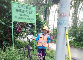 PLN Pasirpengaraian Sebut Tupai dan Monyet Penyebab Mati Lampu