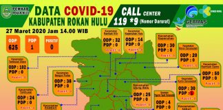 Masyarakat Rohul Pulang Kampung, Jumlah ODP Corona Virus Bertambah