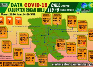 Masyarakat Rohul Pulang Kampung, Jumlah ODP Corona Virus Bertambah
