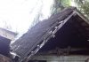 Kena Stroke, Tinggal di GUBUK REOT, Poniah Hingga Kini Belum Tersentuh RLH