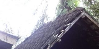 Kena Stroke, Tinggal di GUBUK REOT, Poniah Hingga Kini Belum Tersentuh RLH
