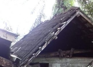 Sepasang Suami Istri Pengidap Tumor Ganas dan Stroke di Tambusai Timur Mendapat Perhatian Bupati Rohul