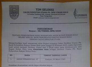 Timsel Umumkan Pelamar yang Lulus Sebagai Dirut PD BPR Rohul