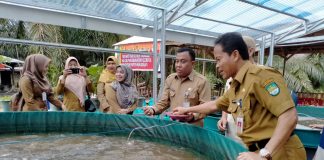 Dusun Sungai Deras Panen Raya Ikan Lele Bersama Pemkab Rohul