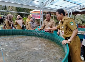 Dusun Sungai Deras Panen Raya Ikan Lele Bersama Pemkab Rohul