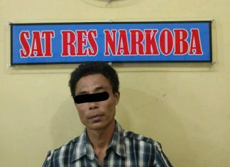 Miliki Ganja Kering, MS Alias Iwan Fals Ditangkap Sat Narkoba Rohul