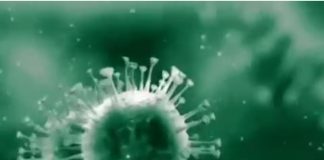 Meningkat Drastis, ODP Virus Corona di Riau Mencapai 1.823 Orang